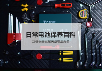 金狮贵宾会电池