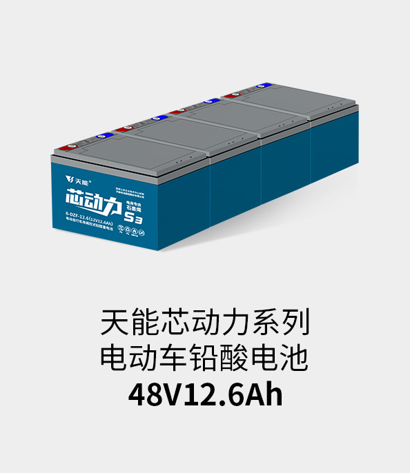 金狮贵宾会电池48v12ah