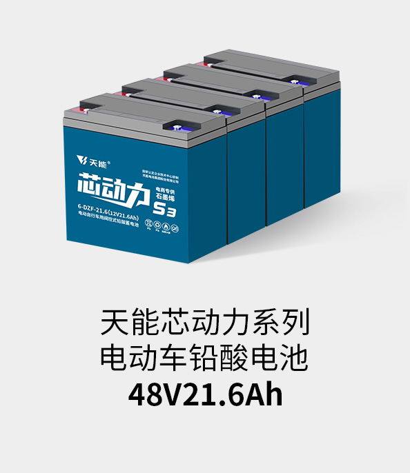 金狮贵宾会电池48v20ah