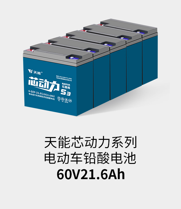 金狮贵宾会电池60v20ah