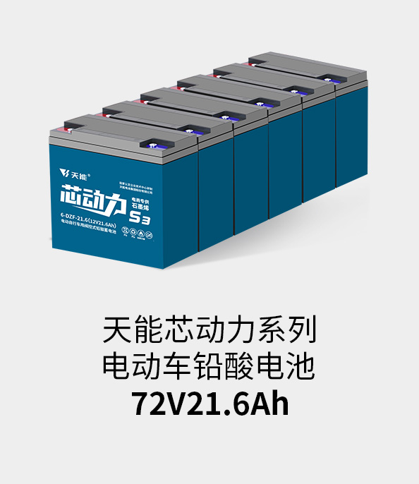 金狮贵宾会电池72v20ah