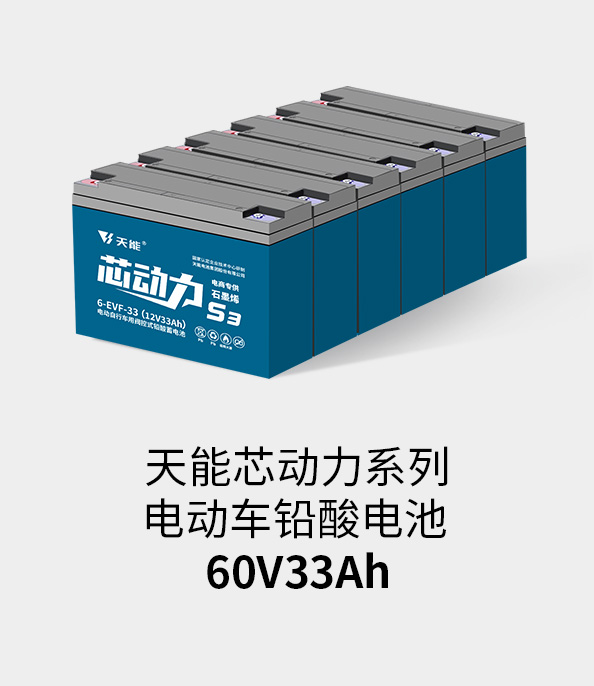 金狮贵宾会电池72v33ah
