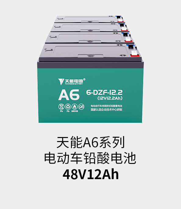 金狮贵宾会电池48v12ah