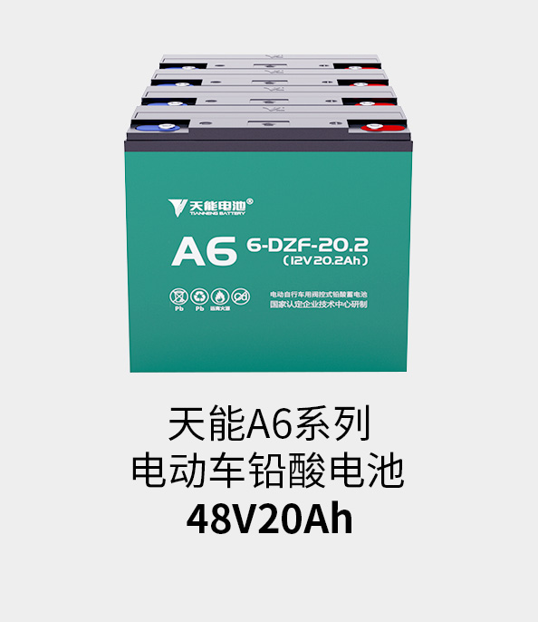 金狮贵宾会电池48v20ah
