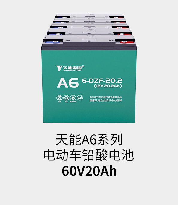 金狮贵宾会电池60v20ah