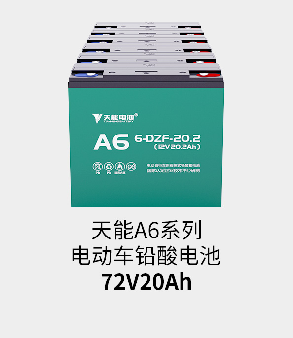 金狮贵宾会电池72v20ah
