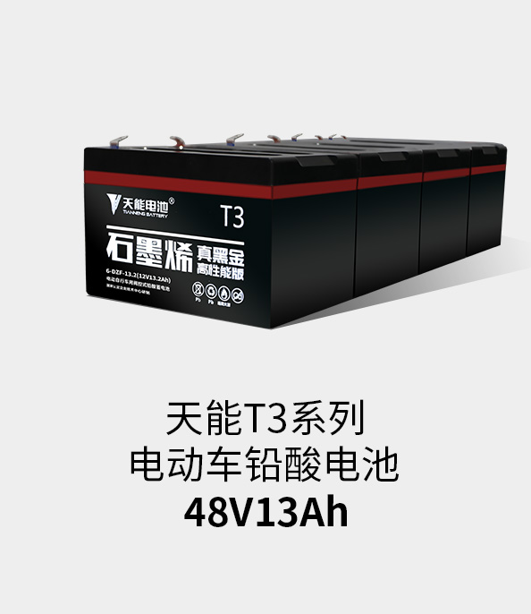 金狮贵宾会T3系列48v13ah