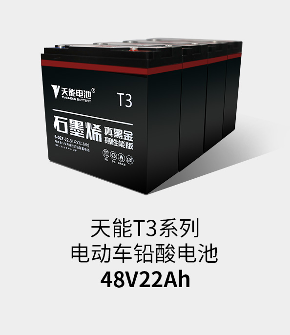 金狮贵宾会T3系列48v22ah