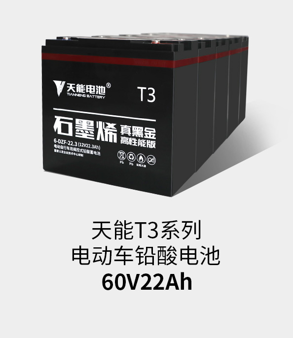 金狮贵宾会T3系列60v22ah