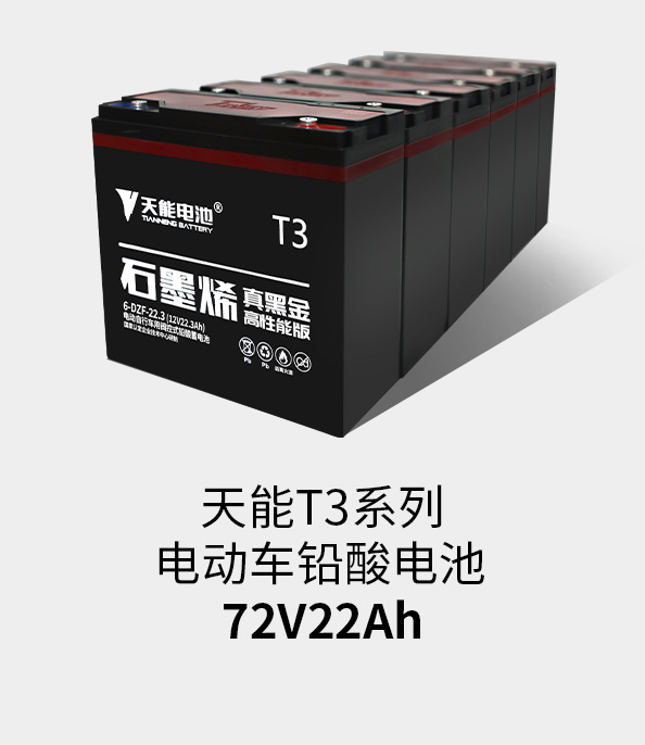 金狮贵宾会T3系列72v22ah