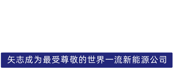 金狮贵宾会股份